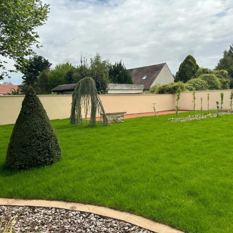 Conception et aménagement paysager avec pelouse et plantations à Chamcueil