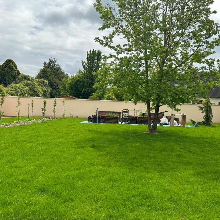 Application de crépi sur mur de clôture extérieur à Chamcueil